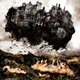 Illustration for article titled The Twisted Imaginings of Aeron Alfrey
